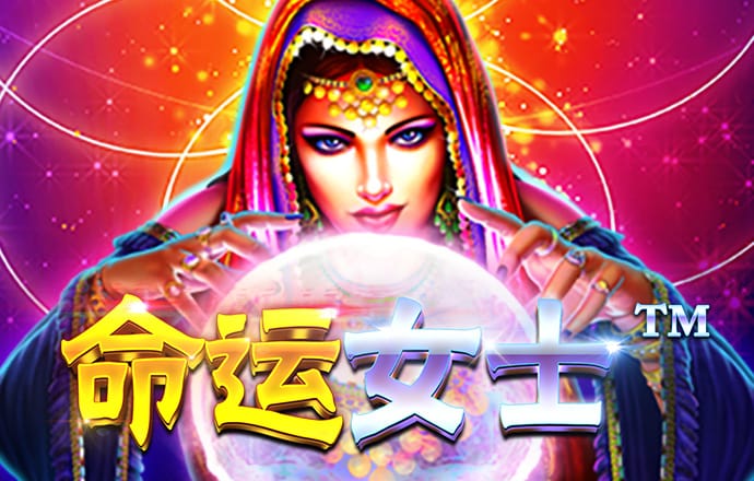 新澳门宝典app最新版本更新内容