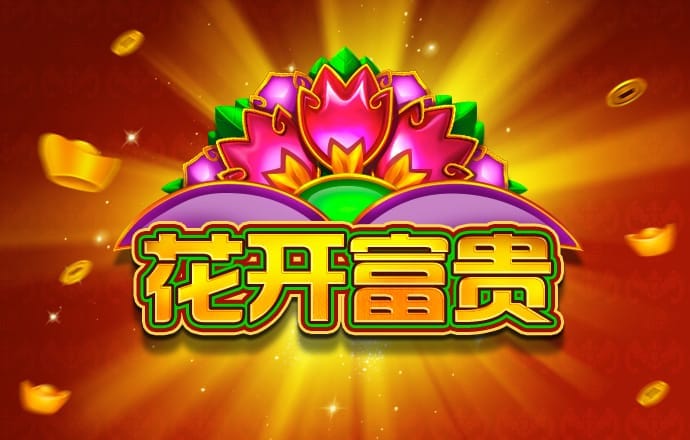 一肖一码期期准